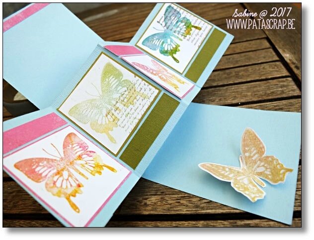 carte déployée papillons 4