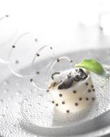 renou_pannacotta_d_huitre_