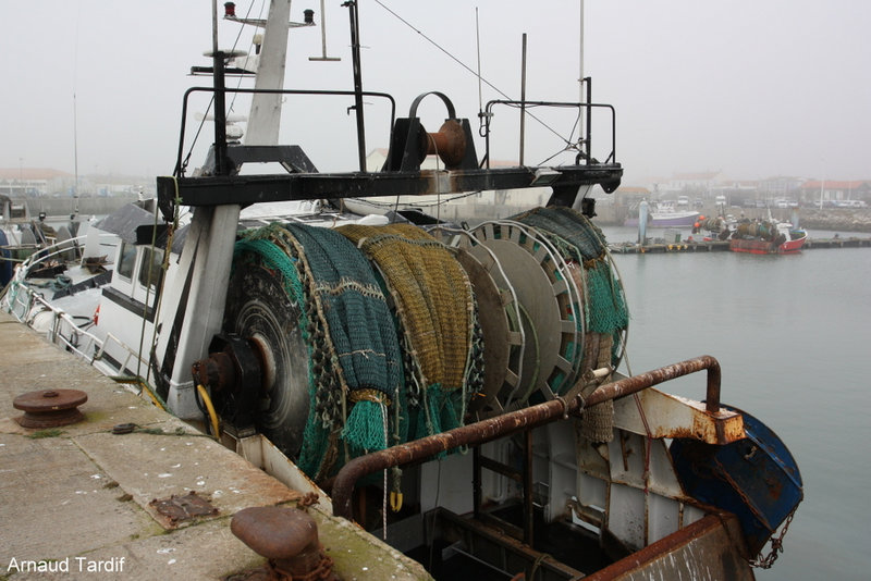 00680 Oléron Février 2022 - Le Port de la Cotinière