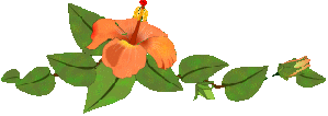 Gif barre animée fleur orange a gauche et feuilles 299 pixels