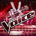 The Voice 2020 – vainqueur « <b>Abi</b> » ! 