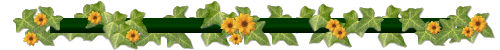 Barre_fleur_lierre