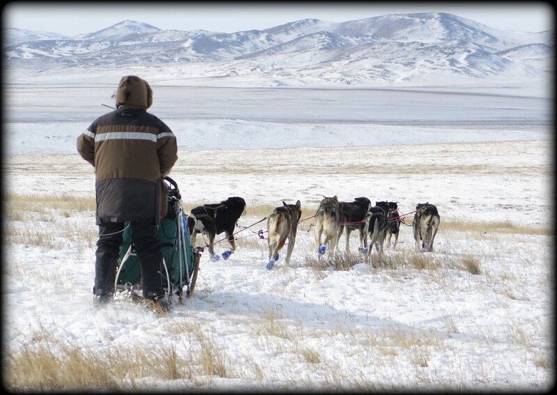 769522c355_Vanier_Odyssee_Sauvage_premiers_jours_en_Mongolie_TAIGA__10_