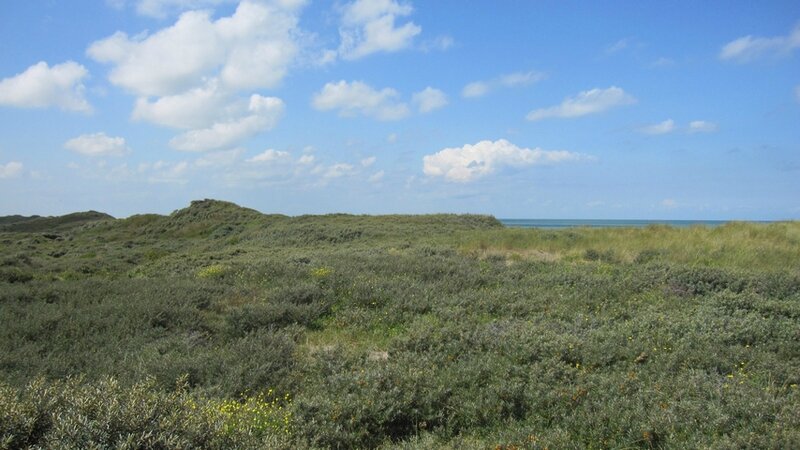 CALAIS-Platier de Oye Plage 022