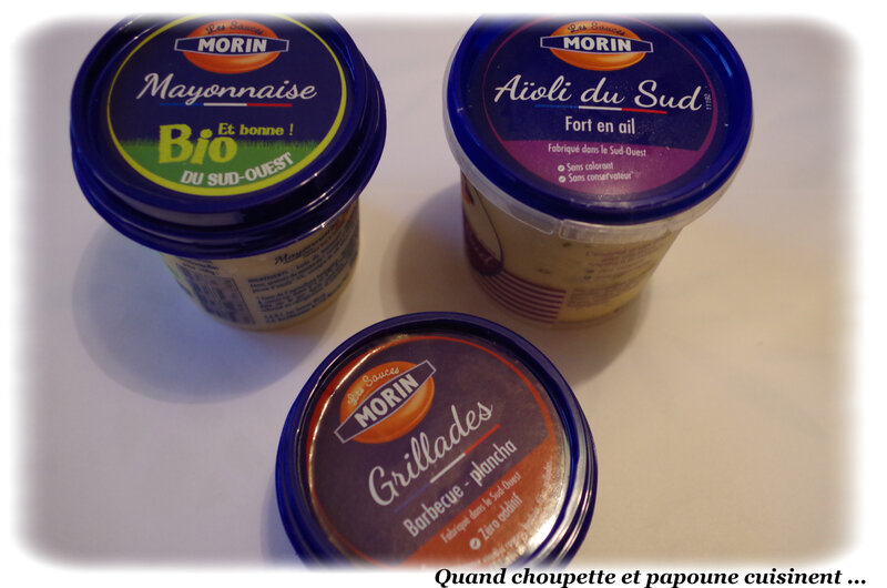 sauce monin-831