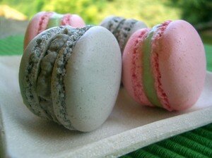 Le succès au praliné – La cuisine de Mercotte :: Macarons