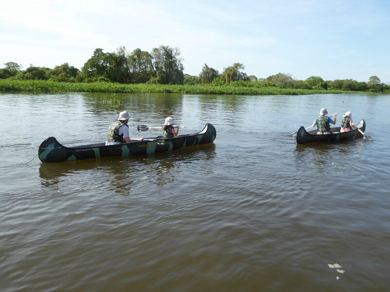 2016-05-15_Pantanal Jour 1 (39) (LQ)