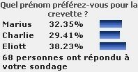 sondage_prenom_2