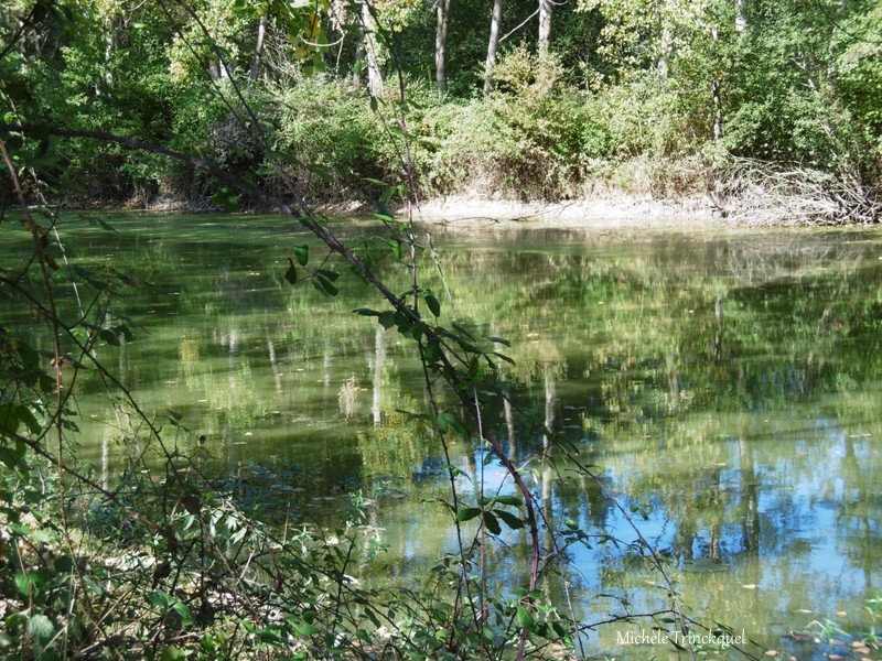 Etangs de la Marnière, de Vicq d'Auribat et St Jean de Lier 290918