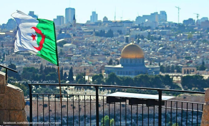 Algérie Palestine drapeau