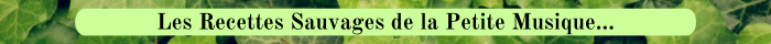 13 LIERRE GRIMPANT Recettes