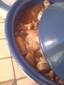 tajine_poulet_aux_deux_abricots_4