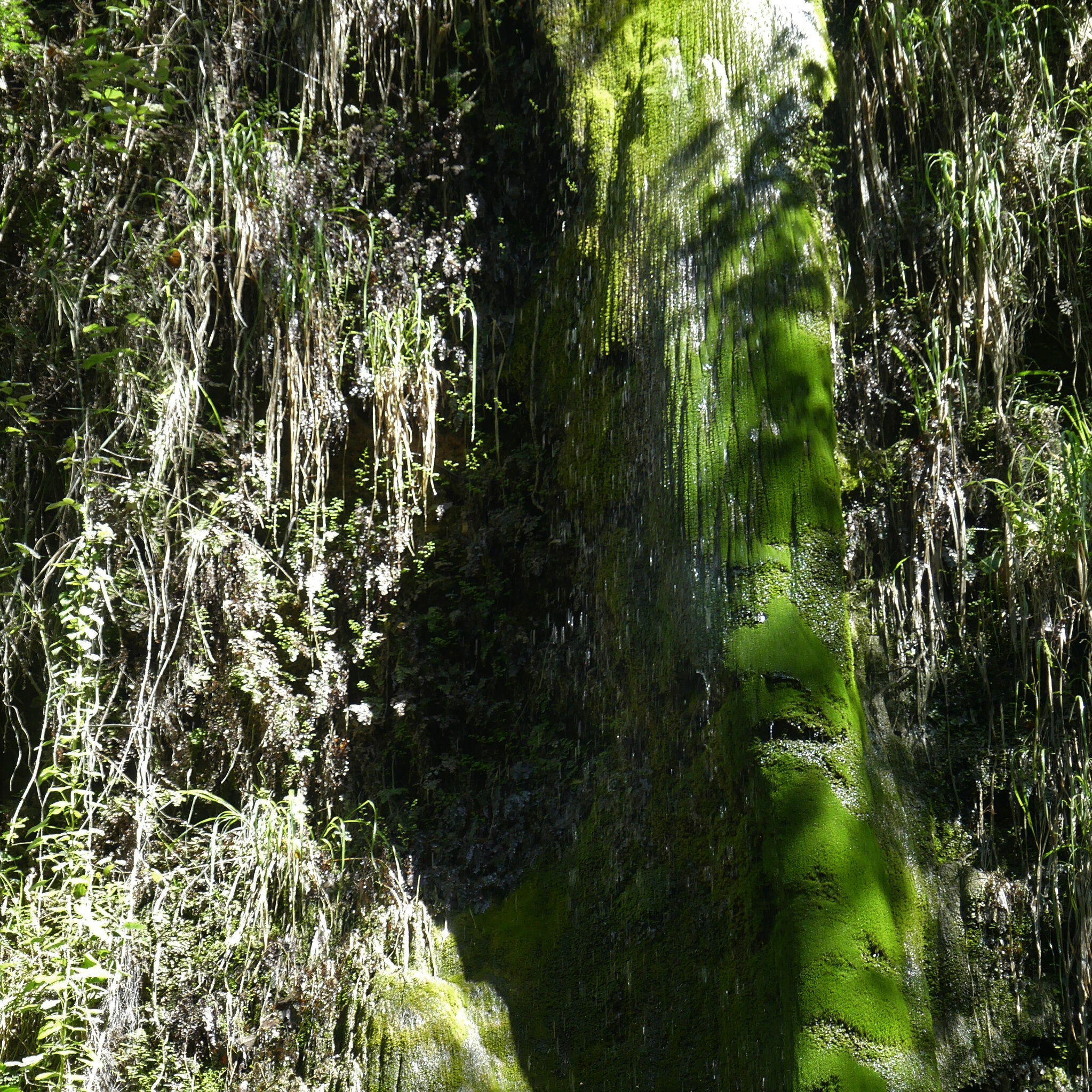 P1120743 (2)