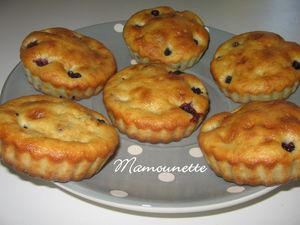 Tartelettes_aux_m_res_003