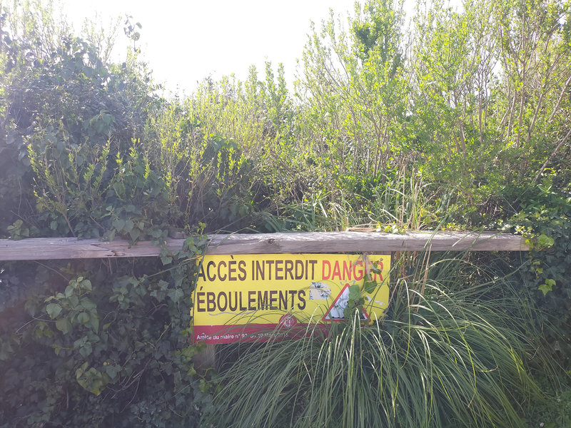 Bidart, sentier du littoral, panneau et végétation (64)