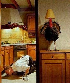 thanksgiving humor