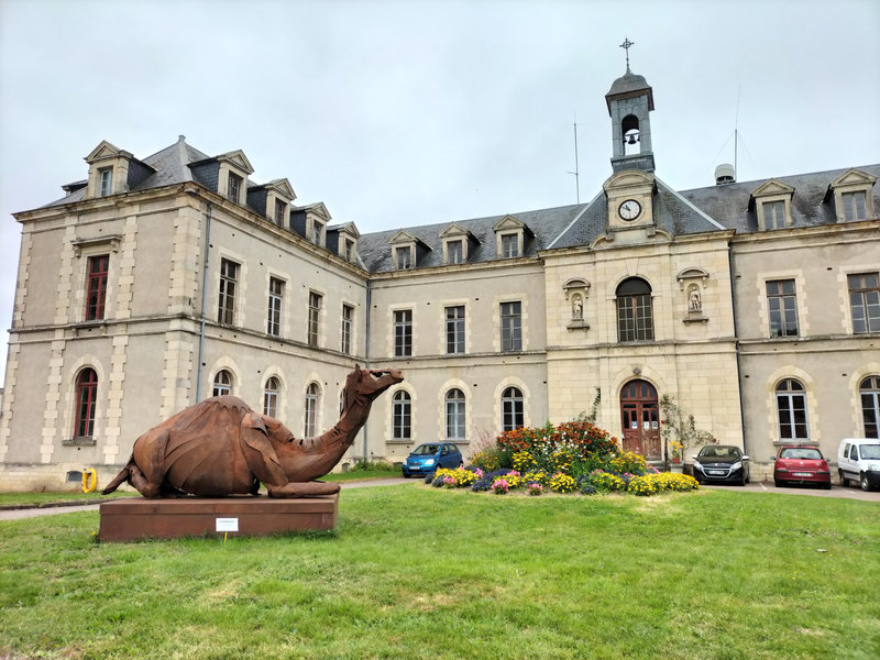 Château-Chinon, dromadaire et hopital (58)