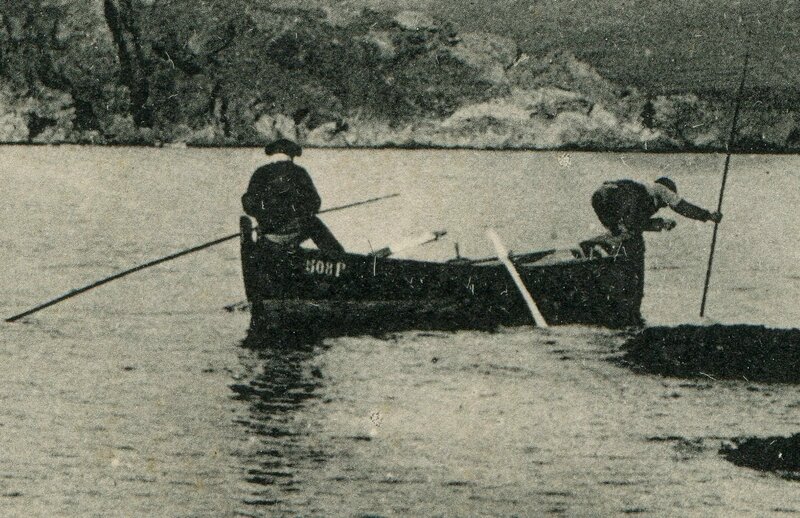 308 La Pêche aux Oursins 1907'