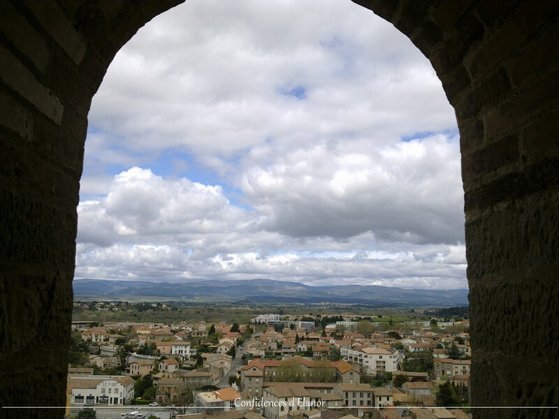 Carcassonne (9)