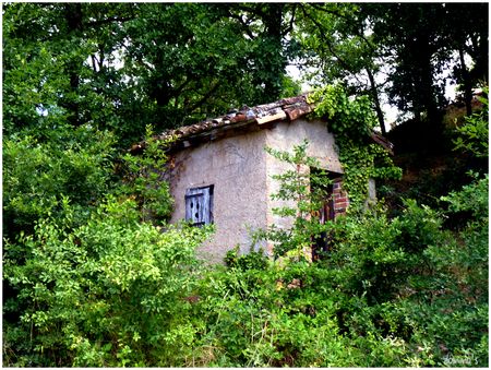 cabane_ds_les_tendes