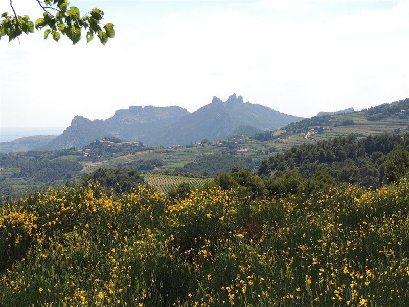 Dentelles de Montmirail