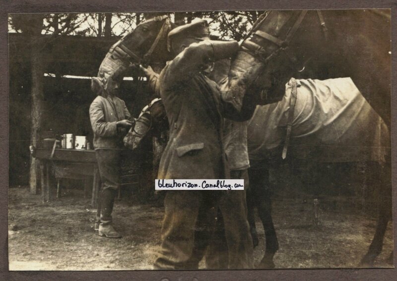 chevaux avec le masque à gaz allemand