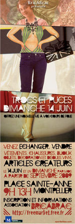 affiche_puce