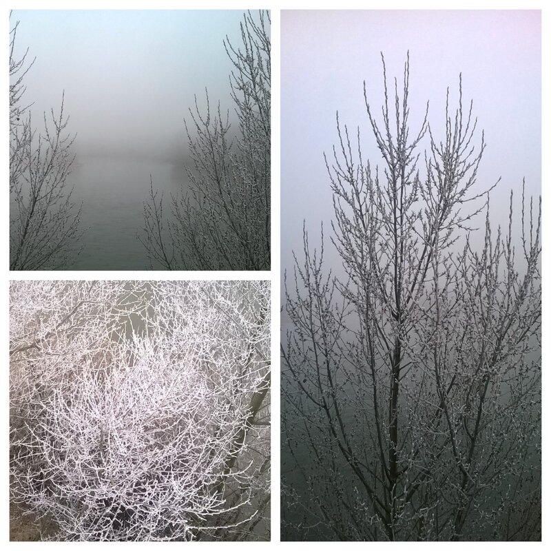 Cadre_hiver_3