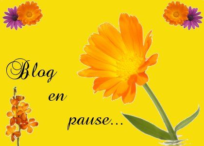 blog_en_pause