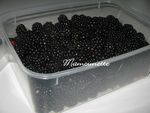 Tartelettes_aux_m_res_001