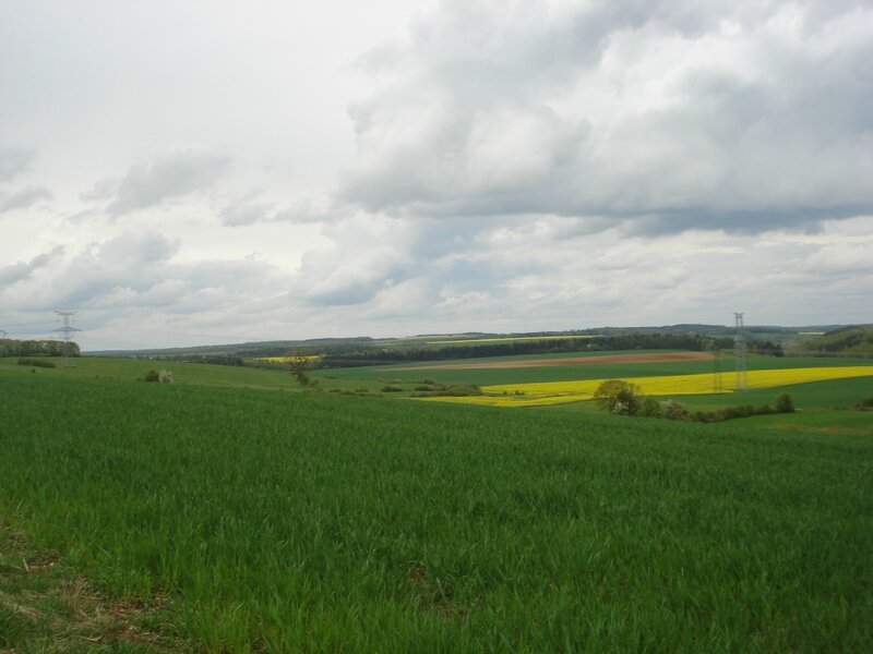DSC06583