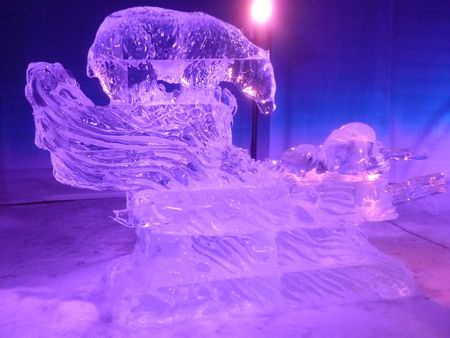 canada fevrier 2012 454