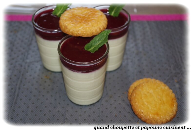 panna cotta purée de fruits rouges-9293