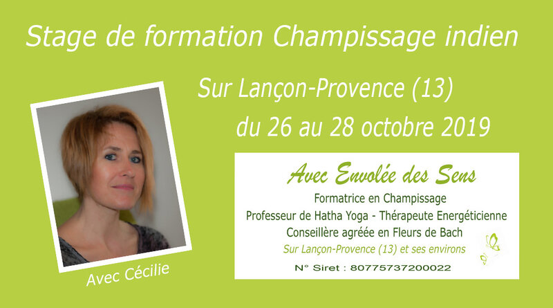CouvertureEvenementFacebookFormationChampissage9x5Ps20190807