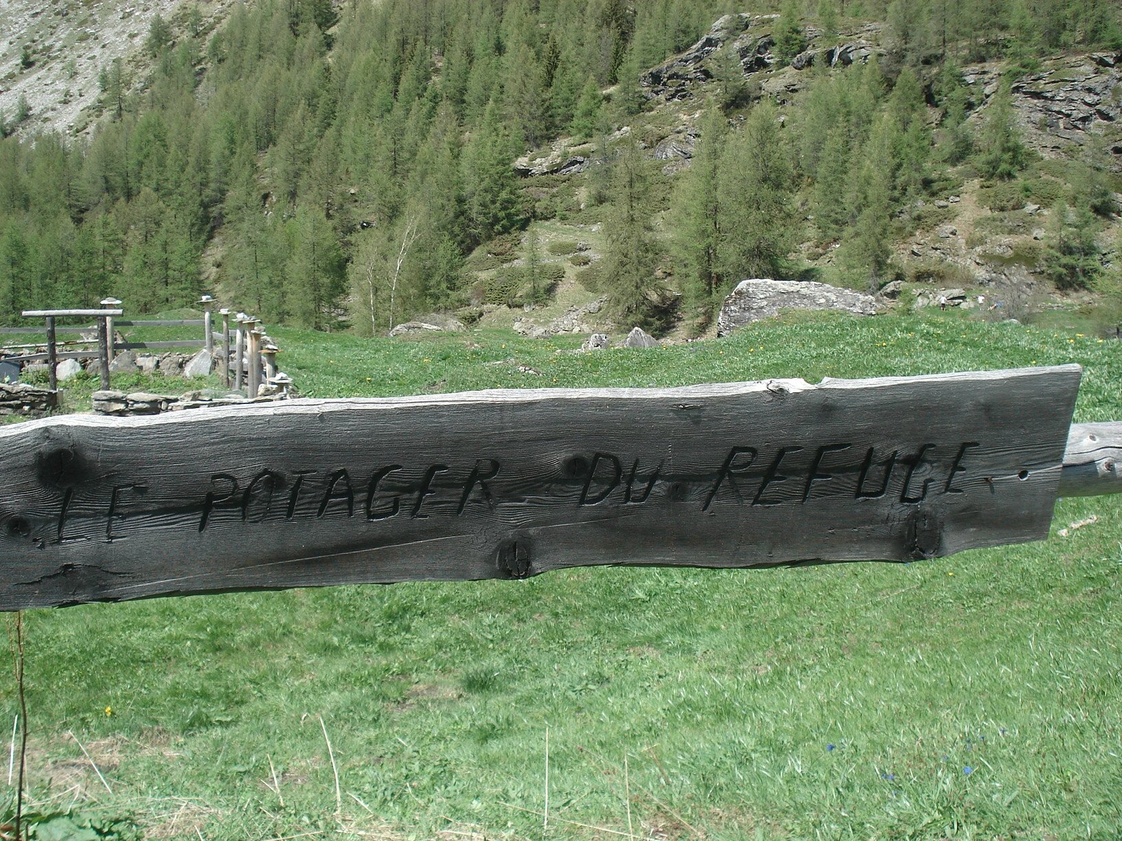 DSC06001