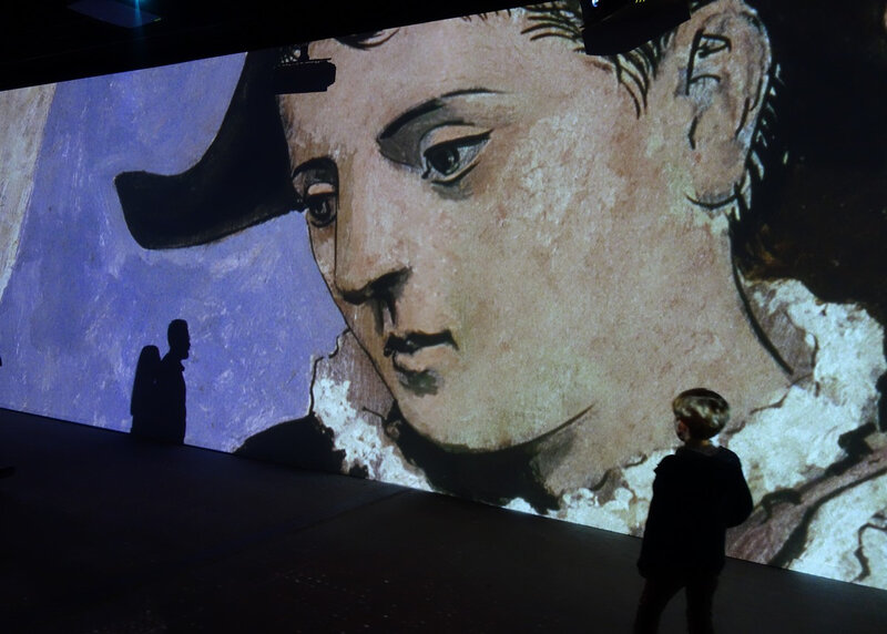 imaginepicasso6