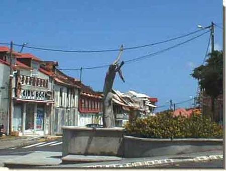 Basse_terre_2