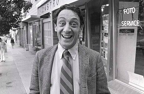 harvey milk