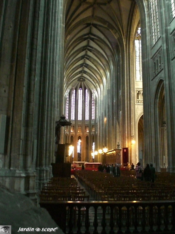 Nef gothique de la Cathédrale Sainte-Croix