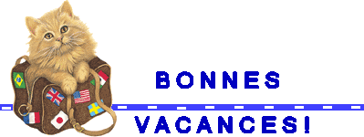 chat_dans_une_valise_BONNES_VACANCES