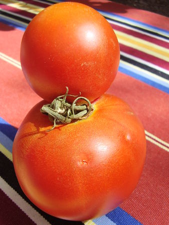 religieuse___la_tomate_004