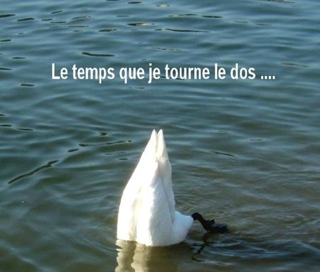 Le temps que je tourne le dos