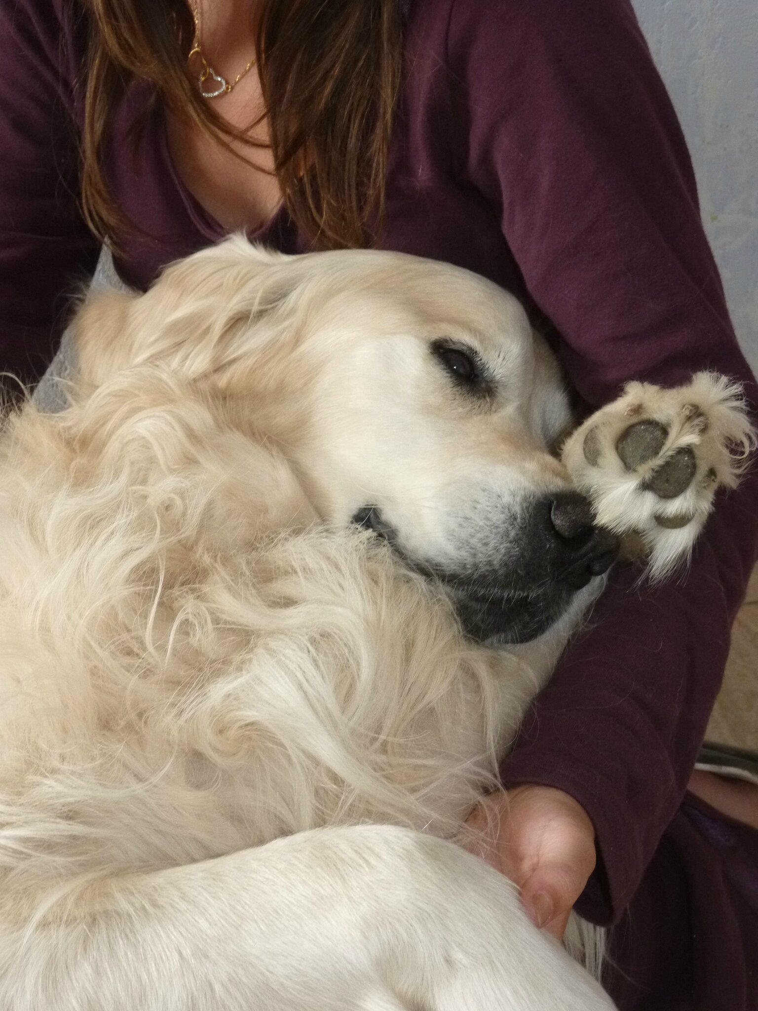 Tobi 2010