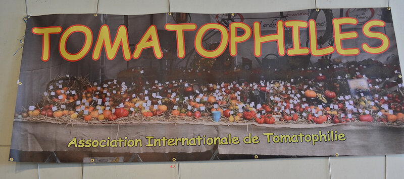 PAT_5940-Tomatophiles