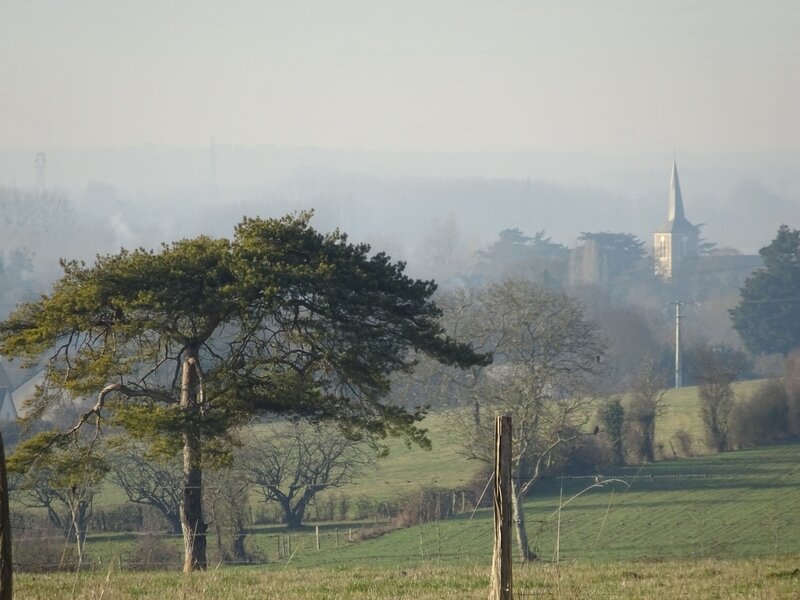 panoramique avec église de Briollay et pin parasol - 2