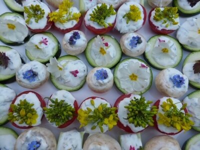Toasts fleuris photo noemie vialard (4)