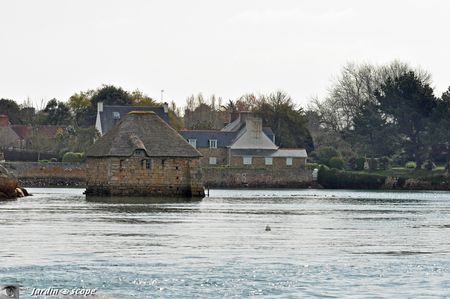 0026-Moulin-ile-de-Bréhat