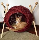 chat maison pelote yarn-house-hs1