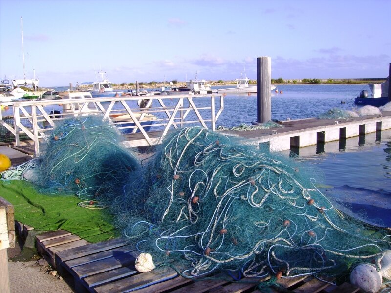 Filets du pêcheur( Port de St François (Gwada)