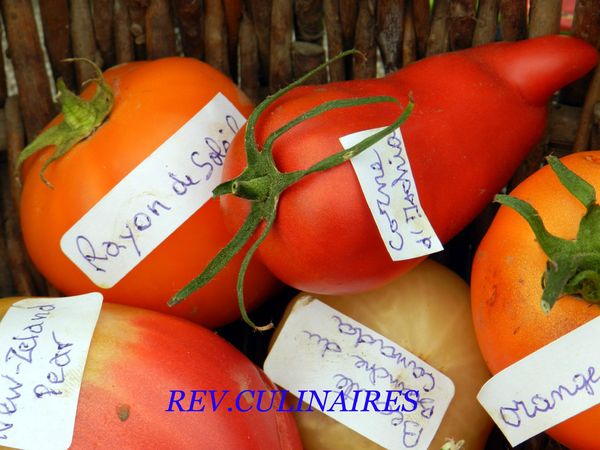 Festival des 1001 Légumes 006